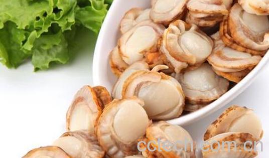 扇贝肉怎么清理 扇贝如何处理干净-1