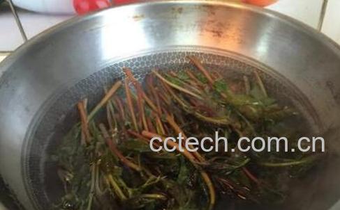 香椿叶煮水的功效与作用-1