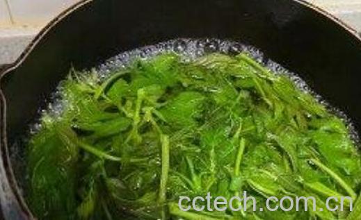 老香椿叶泡水喝的功效-1