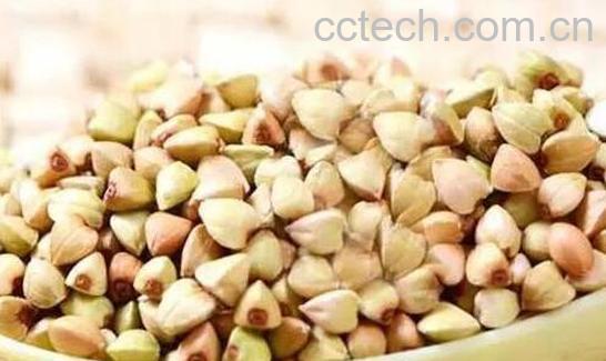 黑荞麦和白荞麦的区别-0