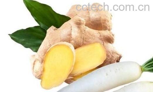 冬吃萝卜夏吃姜的科学道理-1