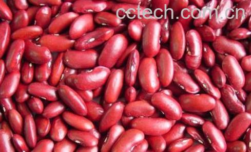 红芸豆不适合什么人吃 吃红芸豆的副作用-0