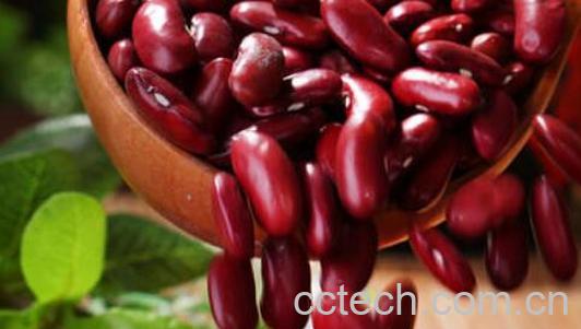 红芸豆不适合什么人吃 吃红芸豆的副作用-1