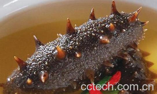 海参怎么样吃好 海参的正确吃法-0