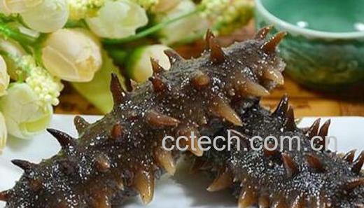 海参怎么样吃好 海参的正确吃法-1