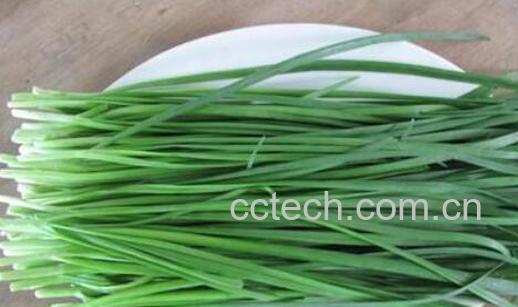 韭菜生姜汁的功效与作用-0