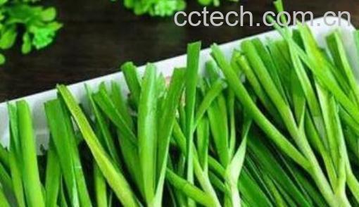 韭菜生姜汁怎么做 韭菜生姜汁的做法教程-0