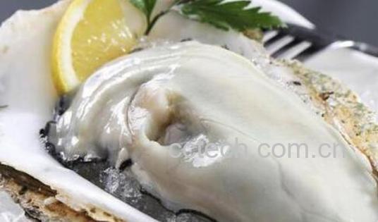 牡蛎和生蚝的区别-0