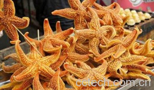 海星能吃吗 海星怎么吃-0
