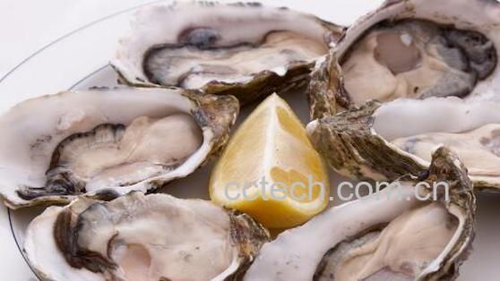 海蛎子和生蚝的区别-0
