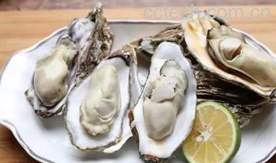海蛎子和生蚝的区别-1