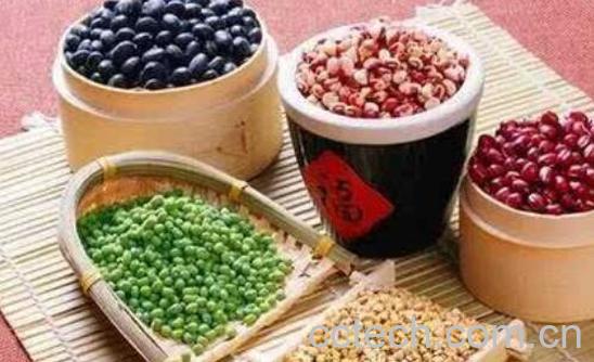 含锌高的食物有哪些 什么食物含锌多-1