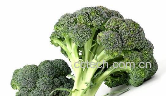 含硒高的食物有哪些 什么食物含硒多-1