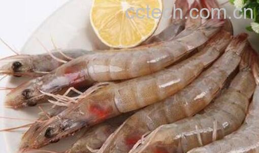 海虾和河虾有哪些区别 -1