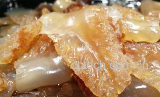 海蜇皮的营养价值 吃海蜇皮的好处-1