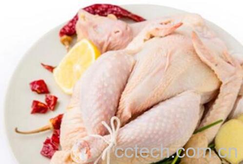 三黄鸡的功用及禁忌人群-0