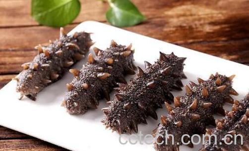 海参和什么不能一起吃 海参与什么食物相克-0