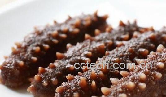 泡发海参的最佳方法-1