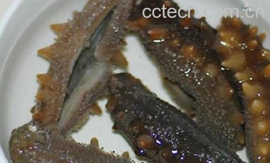 泡发海参的最佳方法-0