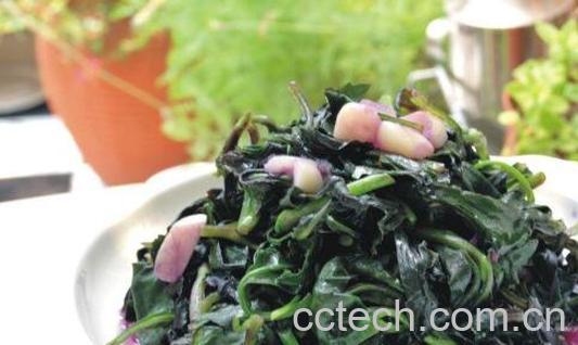 观音菜的功效与作用 观音菜的副作用-1