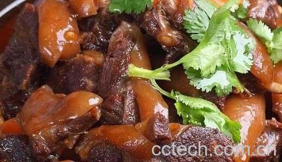 狗肉怎么做好吃 狗肉的家常做法教程-0