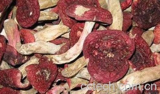 血菇怎么做好吃 血菇的家常做法-1