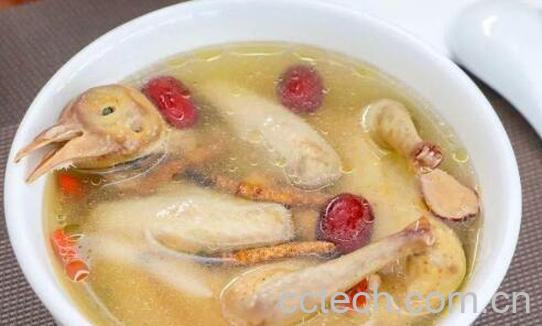 鸽子汤的功效与作用 鸽子汤怎么做好喝-1