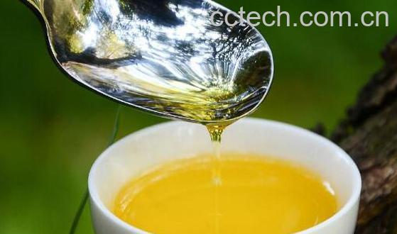 空腹吃山茶油的功效与作用-1