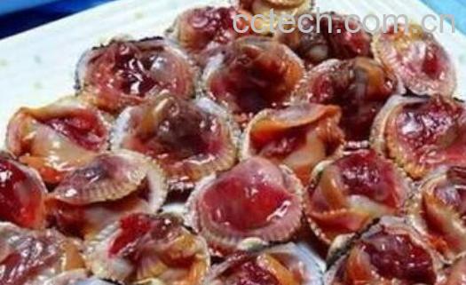 血蛤怎么做好吃 血蛤的做法大全-1