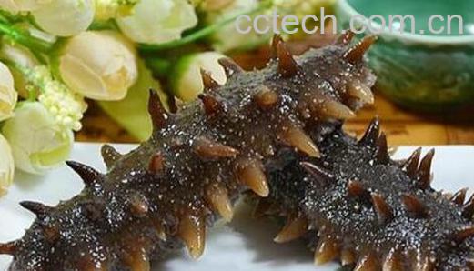 干海参怎么保存 干海参的正确保存方法-0