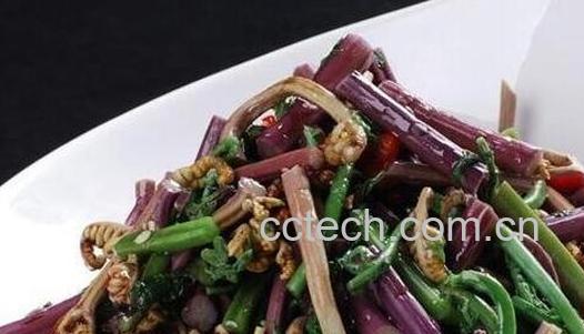 阙菜怎么吃 阙菜的食用方法-1