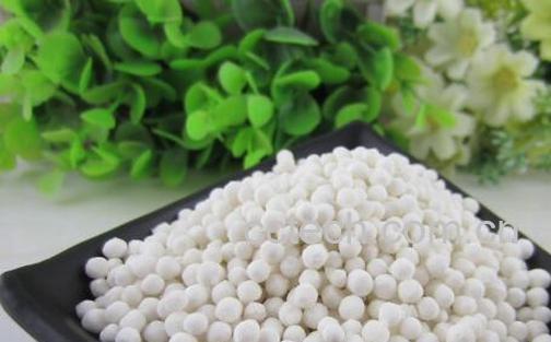 西谷米的功效与作用 西谷米的副作用-1