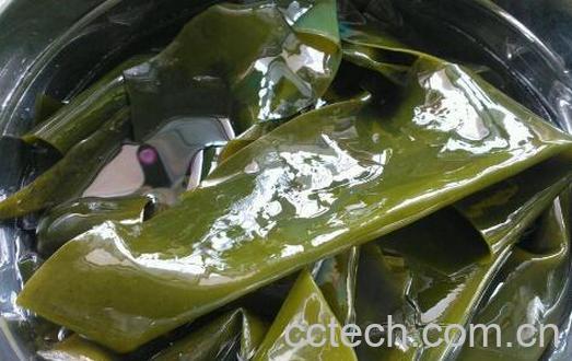 干海带怎么泡发 干海带的正确泡发方法-0