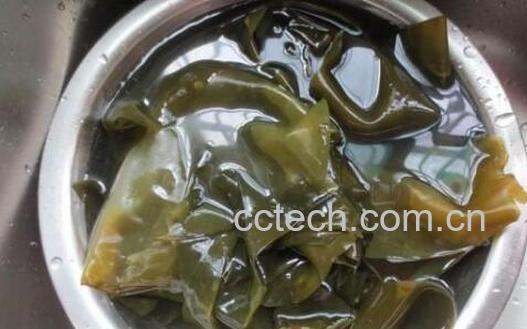 干海带怎么泡发 干海带的正确泡发方法-1