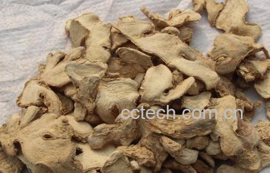 中药干姜的功效与作用-1