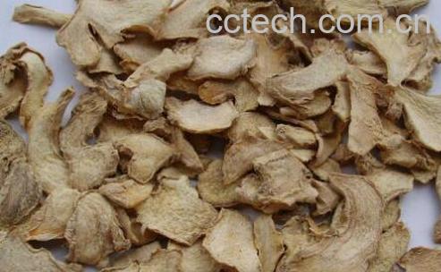 中药干姜的功效与作用-0