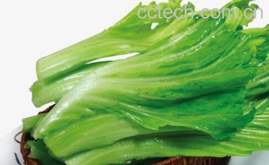 盖菜怎么做 盖菜的做法教程-0