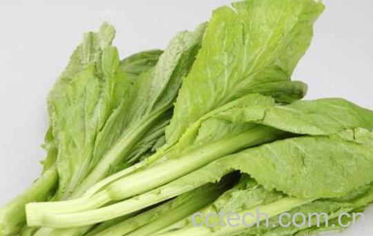 盖菜怎么做 盖菜的做法教程-1