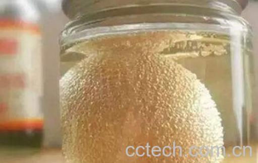 醋泡鸡蛋的功效与作用-1