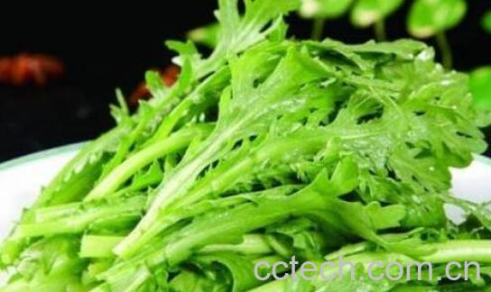 男人吃茼蒿有什么坏处-0