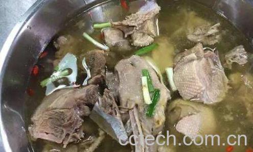 鹅肉汤怎么做 喝鹅肉汤的好处与坏处-1