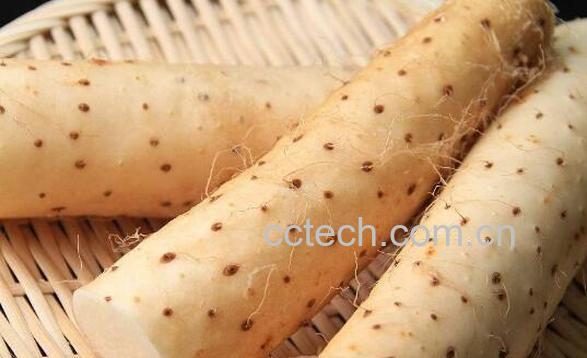 丰胸吃什么好 丰胸的食物有哪些-1