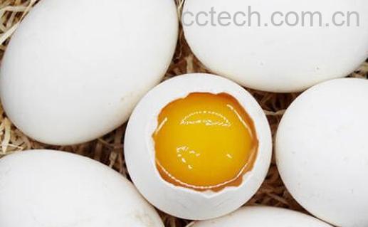 鹅蛋不能和什么一起吃-0