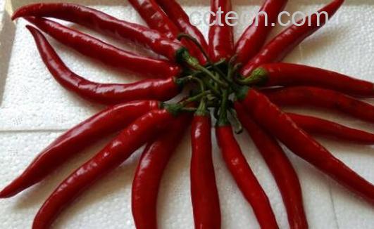 二荆条和线椒的区别-0