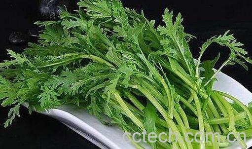 吃茼蒿的好处有哪些 吃茼蒿的危害-1