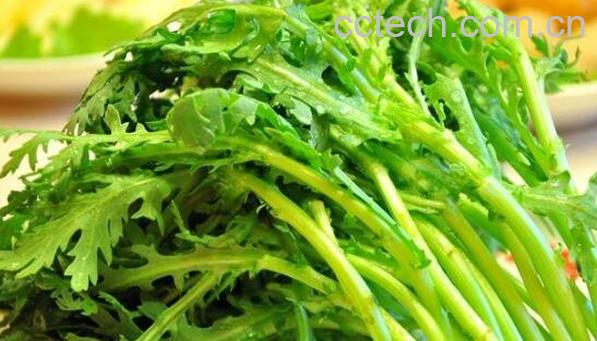 女人吃茼蒿的好处与坏处-1