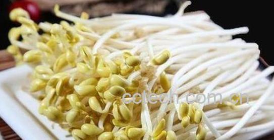 最致癌的5种蔬菜-0