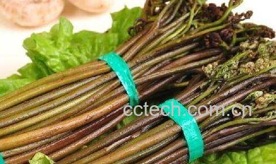 最致癌的5种蔬菜-1