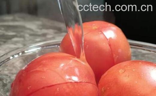 西红柿如何去皮 番茄怎么去皮-1