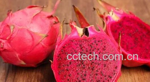 对眼睛好的食物有哪些-1